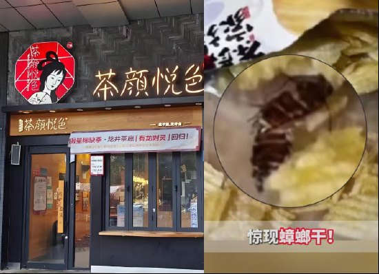 “吃出蟑螂,要寄回才能赔付” 茶颜悦色被曝薯片有异物,官方称已经和解,网友惊呼:品控要靠嘴筛